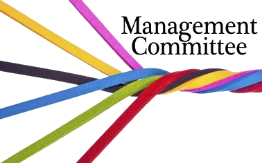 Management Committee Icon