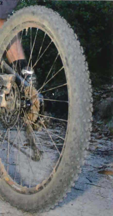 Mountain Bike Tyre