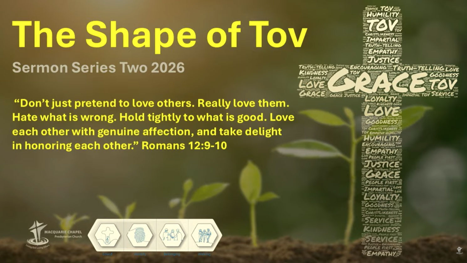 The Shape of Tov #1